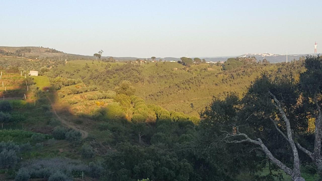 Quinta Do Caneiro - Casa Turismo Rural Constância Kültér fotó