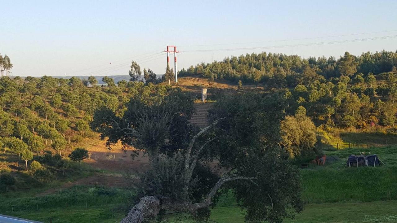 Quinta Do Caneiro - Casa Turismo Rural Constância Kültér fotó